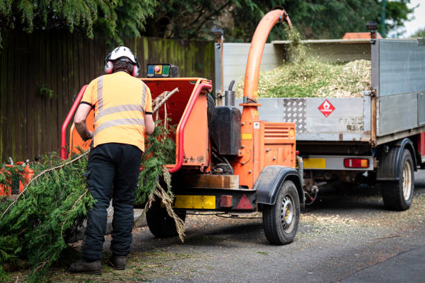 Lawn Drainage Solutions in Harrisville, WV